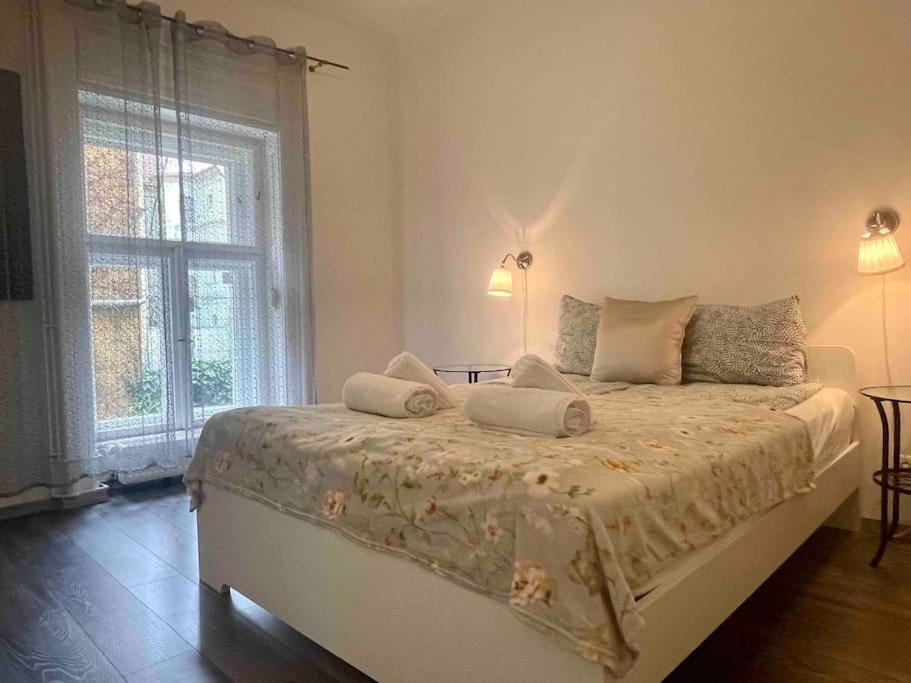Knezits Spacious Ac Terrace Free Parking Apartament Budapesta